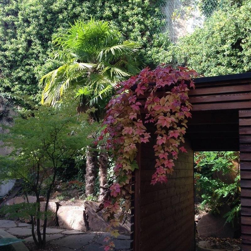 Hotel Eberle Bolzano Dış mekan fotoğraf